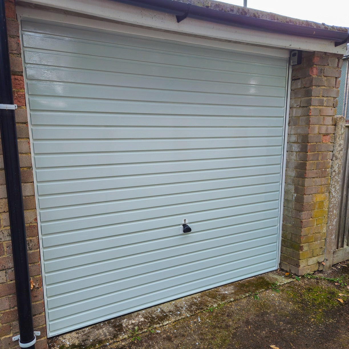 Multi-Purpose Paint - 1L - White & Black